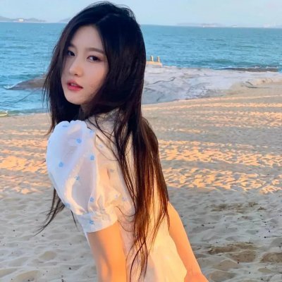 黑雀特工